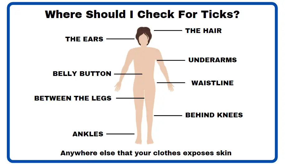 Image Showing where to check for ticks
