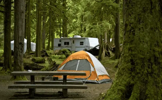What Is A Basic Campsite?