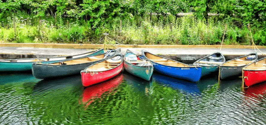 Large Group of Different Canoe Styles
