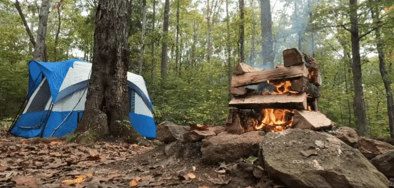 Tent and Firewood for campfire