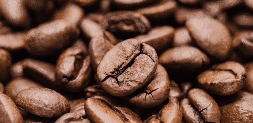 Nalgene Coffee Beans
