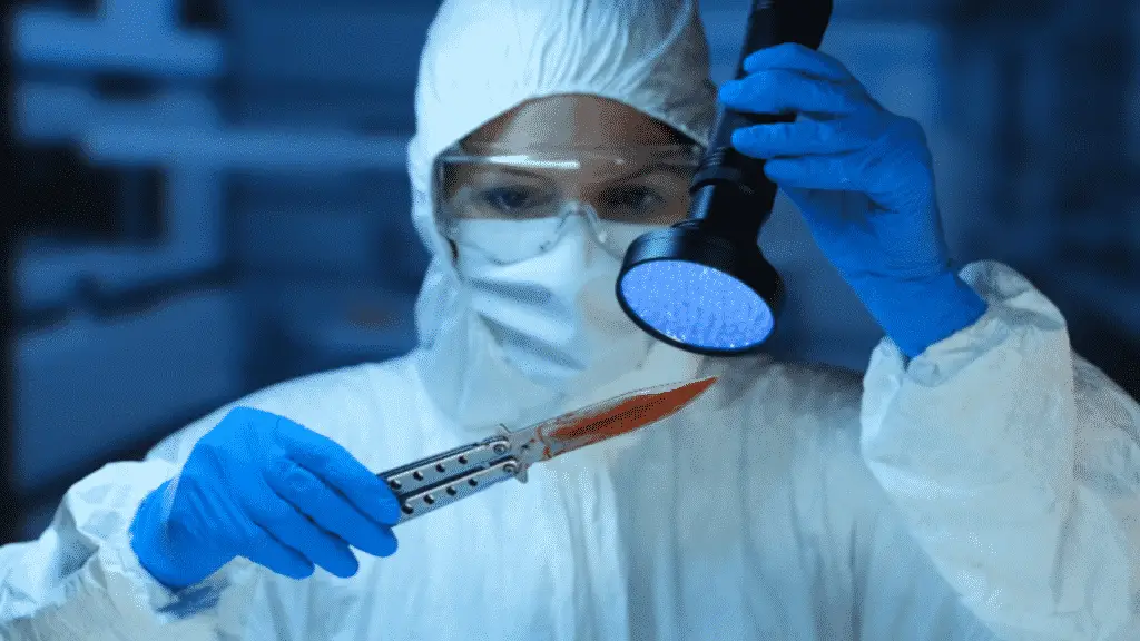 Forensic team looking at blood with a blue light flashlight