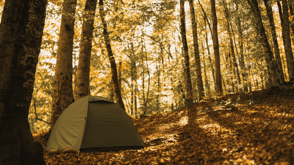 Pitch your tent under trees to create shelter from the rain while camping