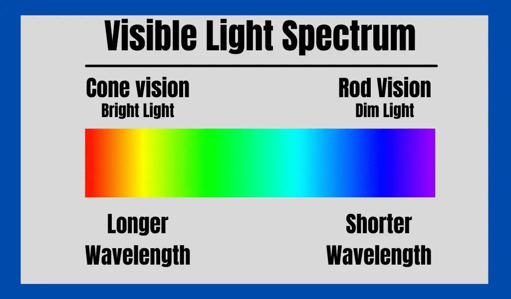 Is Red or Green Light Better For Night Vision? The visible light spectrum chart explains the difference.