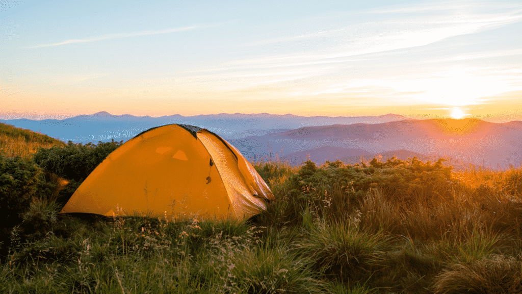 At 40 degrees there's no risk of snow so any 3-Season tent will work. Just make sure there's ventilation to prevent condensation.