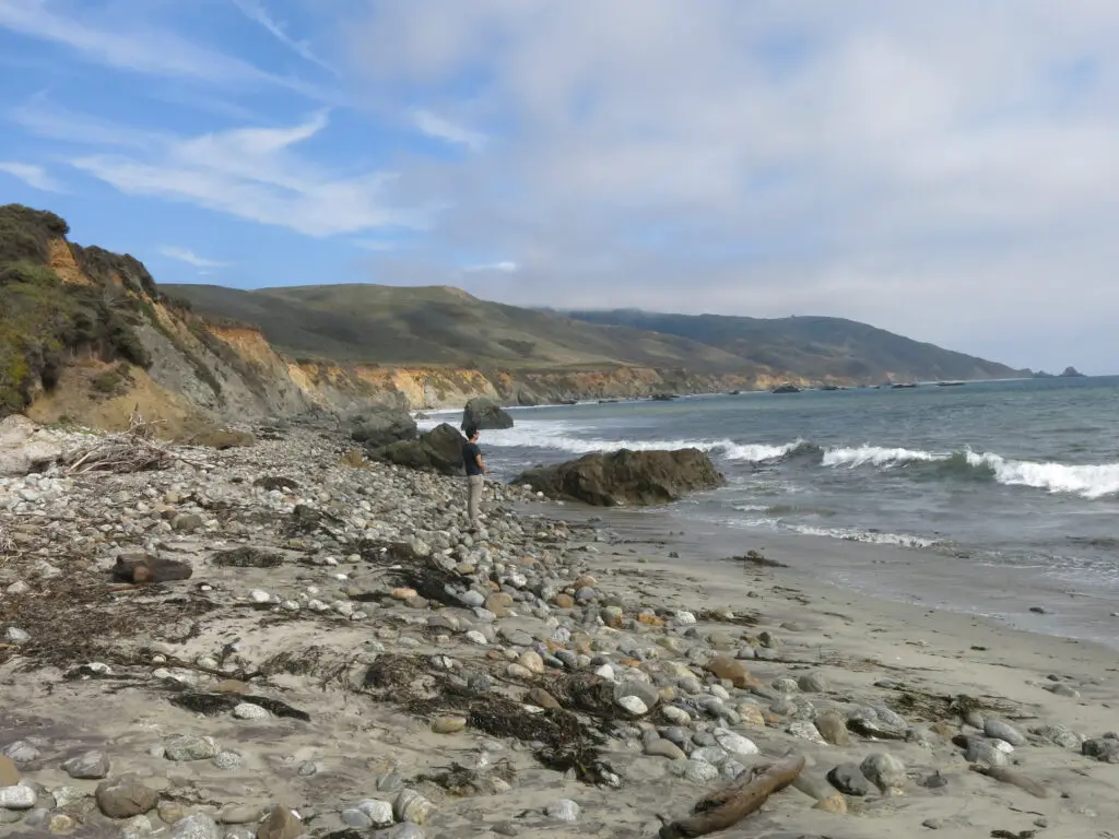 Andrew Molera Beach is an unmanicured beach in California with camping nearby.
