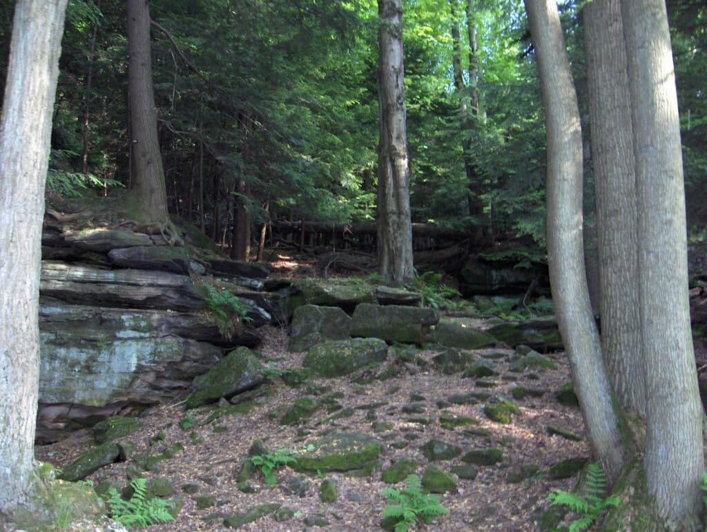 Ritchie Ledges Trail In Northeast Ohio