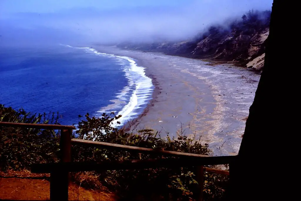 You can camp in patricks point beach northern california.