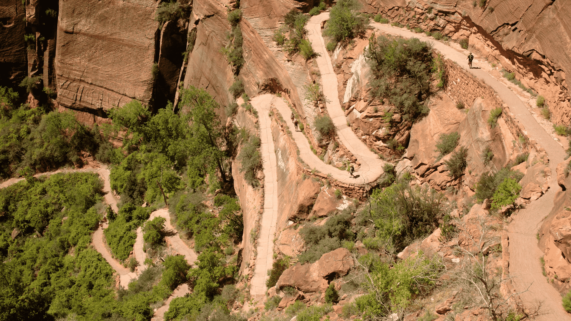 what-are-switchbacks-in-hiking-the-hiking-authority