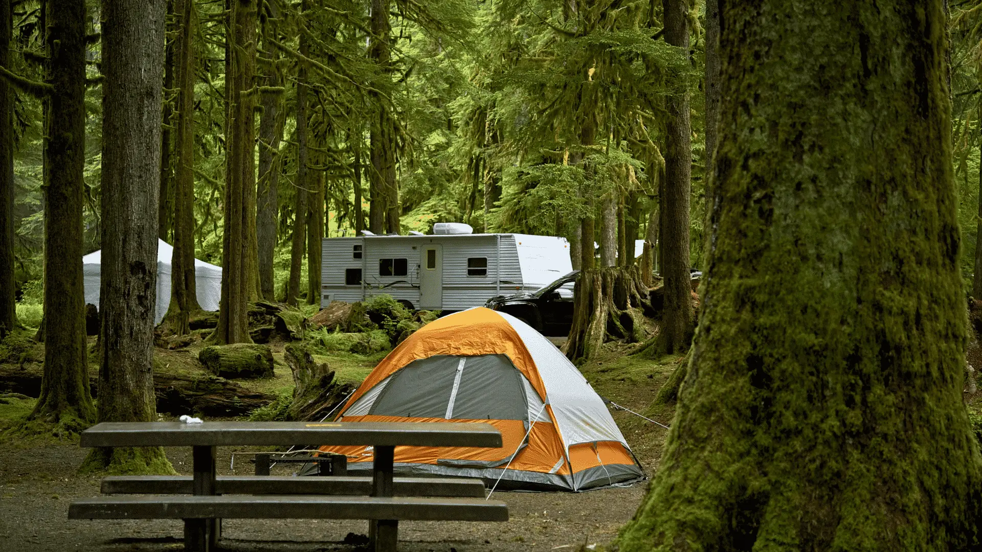 Find a camp. Кемпинг. Побывать кемпинг. Outdoor Camping. Кемпинг GWM 60.