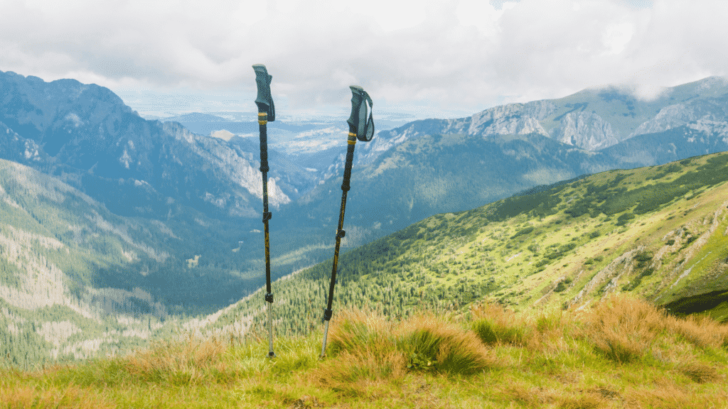 Trekking poles take stress off your legs