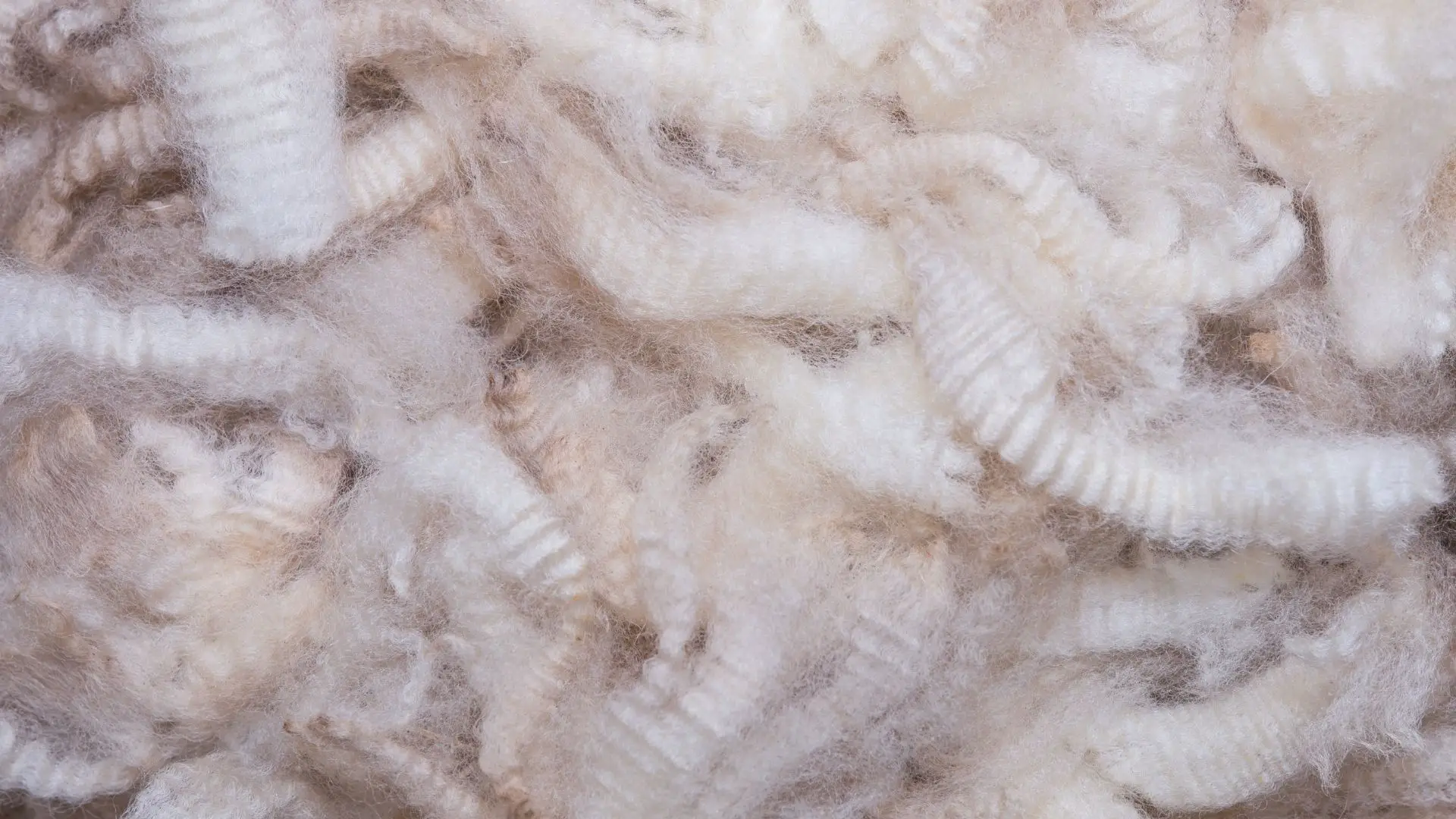 Does Merino Wool Shrink After Washing?