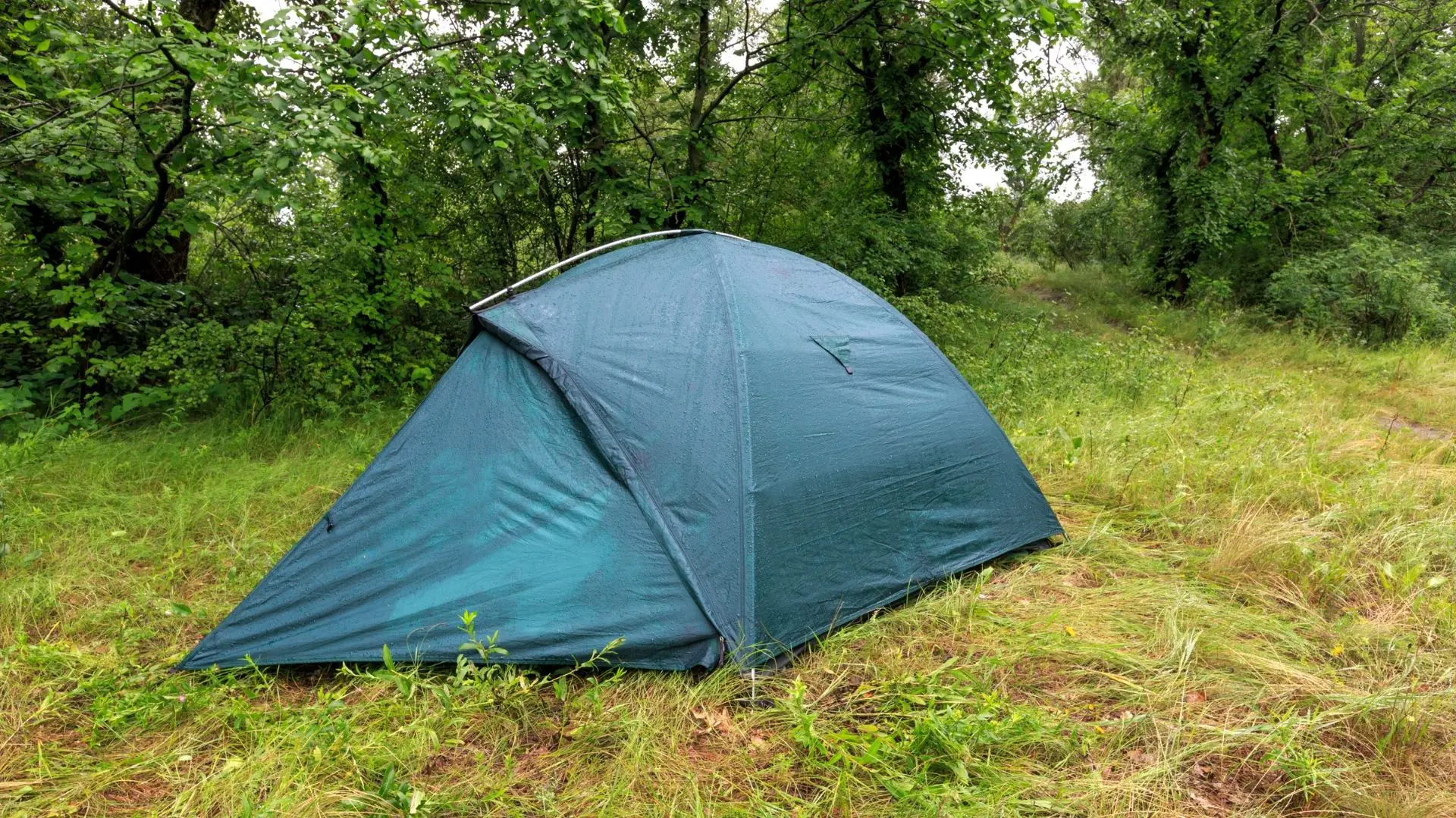 How To clean A Tent With Mold and Mildew