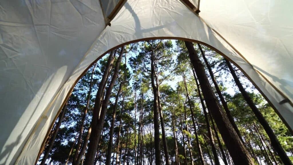 Position your tent with large windows and doors facing away from the sun towards shade