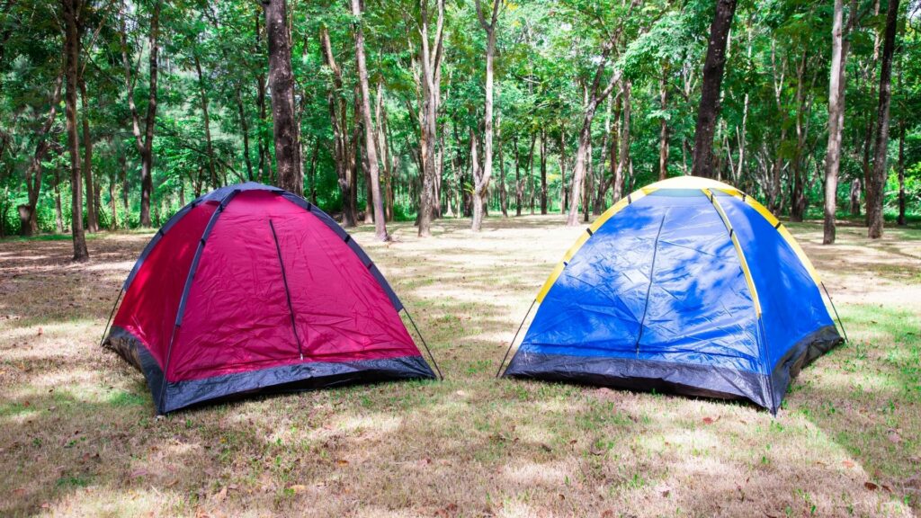 Set up your tent under trees to naturally black out the tent